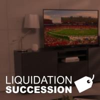 liquidation succession image 3